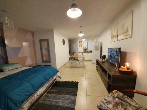 Apartamento Monoambiente Plaza Col�n