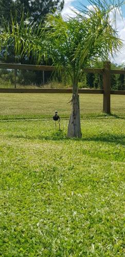 Finca Lonarda Hotel Ecosolar