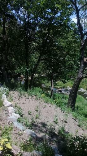 Casa Con Playa Y Bajada Al R�o Privada
