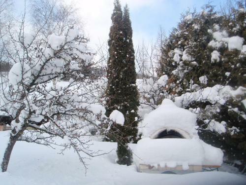 Apartamento Fanningerwirt