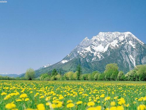 Apartamento Schladming An Der Piste 2