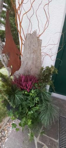 Apartamento Alpina Appartement