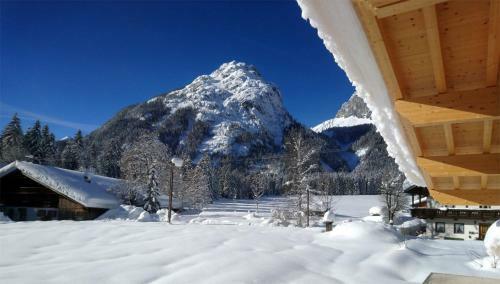 Alpenchalet Im Leutaschtal