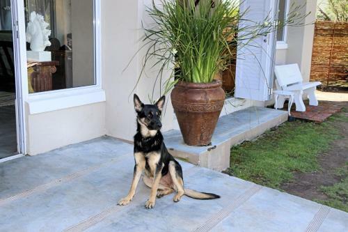 Agroturismo T'niqua Stable Inn