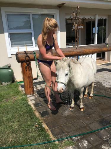 Agroturismo T'niqua Stable Inn