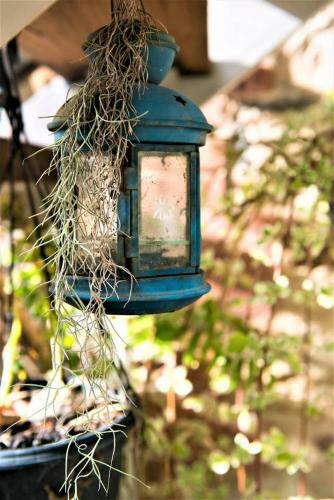 Apartamento Adelaide Hills 'camellia Cottage' - Wifi