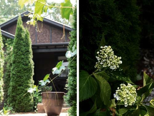 Oscar's Garden