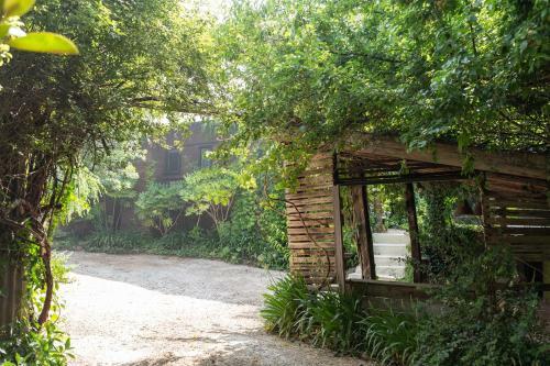 Oscar's Garden