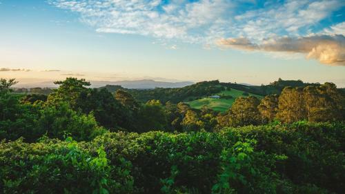 Ferncrest - Fernleigh - Wifi - Air-conditioning