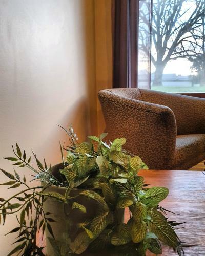 Hotel The Lancefield Lodge