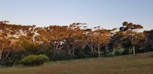 Lodge Karriview Margaret River