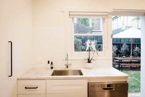 Elwood Beach Calming Tones - Pets, Garden