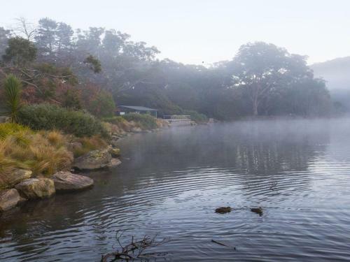 Bellara - Your Home Among The Gum Trees!