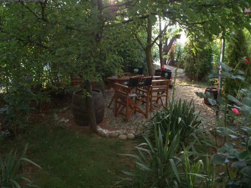 Hostel Kosmopolit