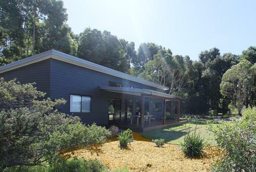 Vines And Stars