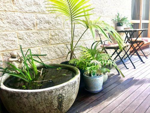 Bed & Breakfast Seaescape