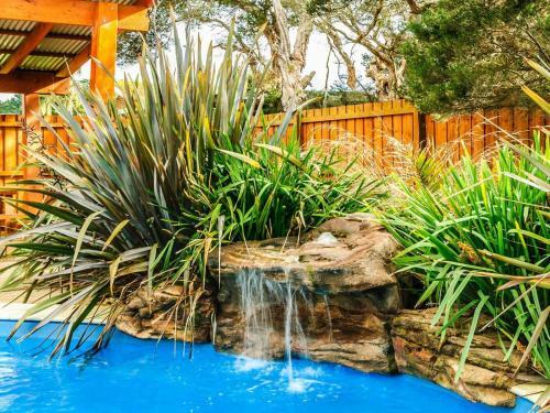 Redwood Oasis