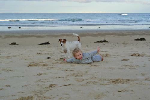 Mullaway Beach Holiday Cabins