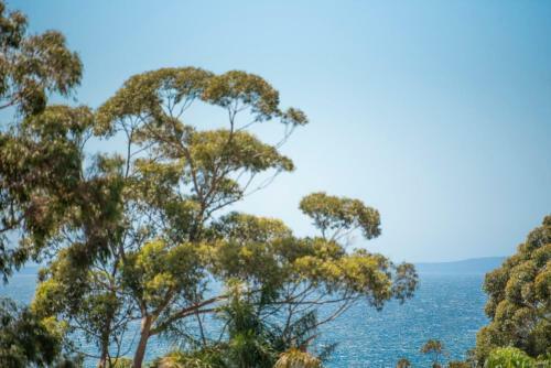 Sea Salt Narrawallee