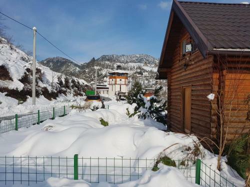Brvnara - Winter House