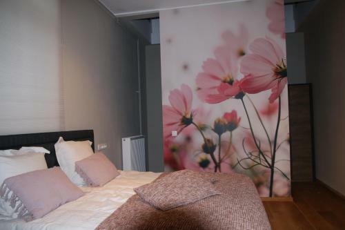 B&B Het Doctershoes