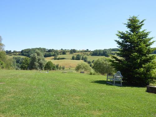 Superb Holiday Home In Plombi�res With Barbecue