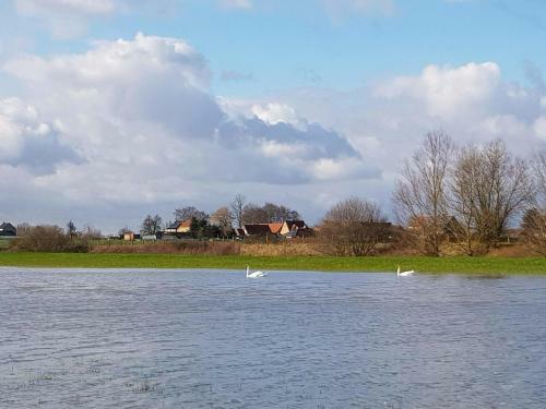 Spacious Holiday Home With Pond In Poperinge