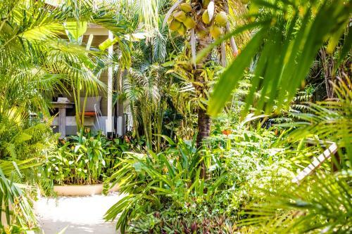 Bamboo Bonaire Boutique Resort