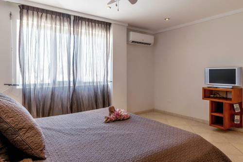 Oceanfront Deluxe Apartment Blue Marlin At Den Laman