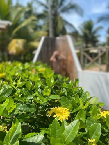 Hotel Pousada Oceano Atl�ntico - Taipu de Fora