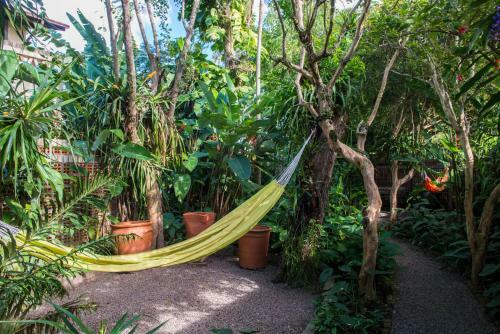 Hostal Pousada Verde Natur