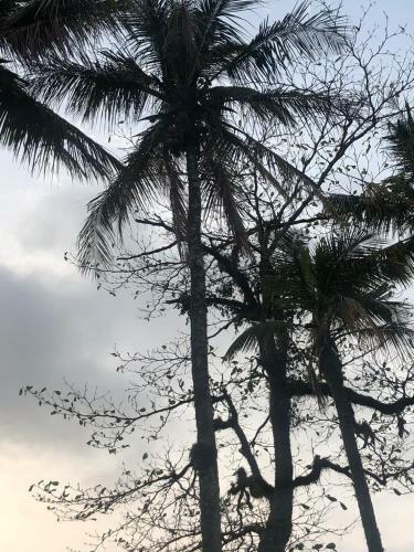 Casa de Vereneio Pernambuco Guaruj�