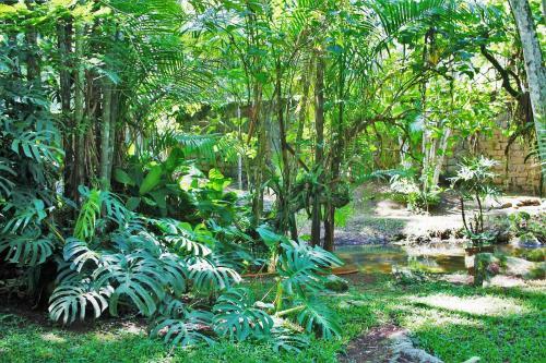 Apartamento Cachoeira E Praia Em Siri�ba