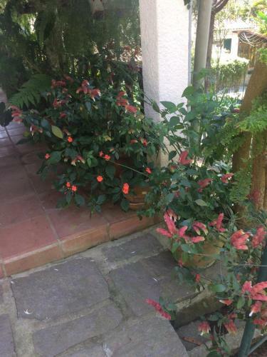 Hostal Pousada Jardim Secreto