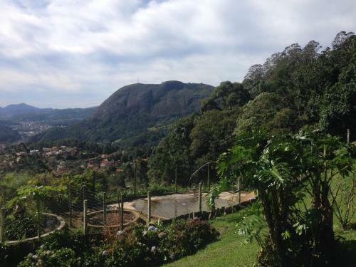 Canto Dos P�ssaros