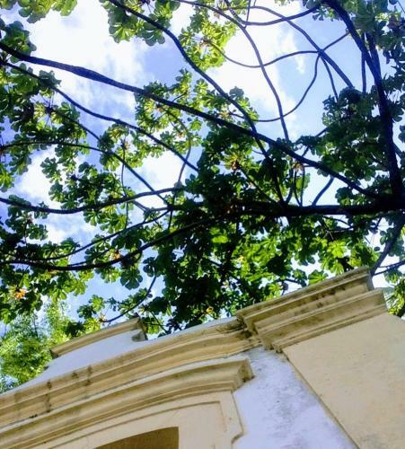 Bed & Breakfast Napraia Hostel Casa Zen