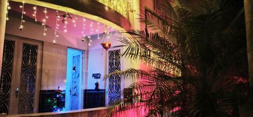 Casinha Tropical