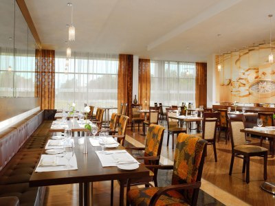 Sheraton Moscow Sheremetyevo Airport Hotel