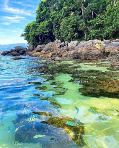 Praialar Apartamentos Ubatuba