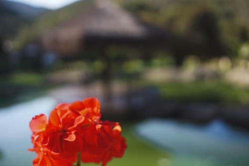 Hotel Eco Resort Bela Riba