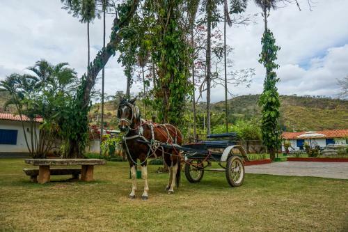 Hotel Eco Resort Bela Riba