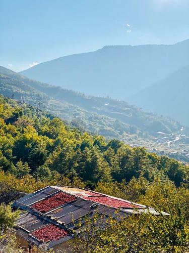 Hotel The Postcard Dewa, Thimphu, Bhutan