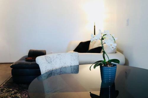 Apartamento Sun Dog Manor