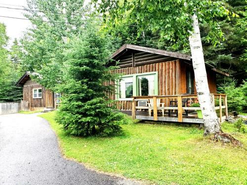 Lodge High Falls Motel & Cabins