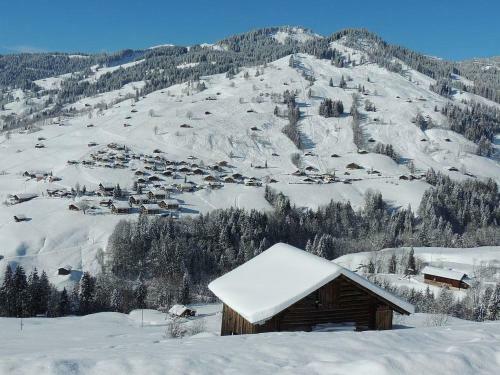 Apartment Hubertus A