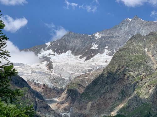 Palace Luxury Wellness Apartment Saas-fee