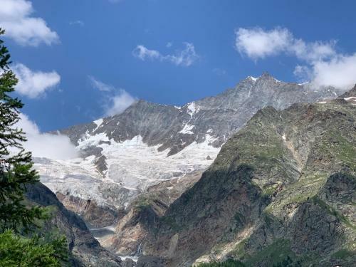 Palace Luxury Wellness Apartment Saas-fee