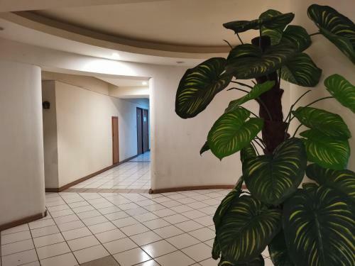 Apartamento H&s Central