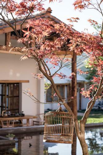 Hotel Moxi Ziyin Guesthouse