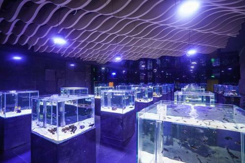 Hotel Big White Whale Ocean Exploration World